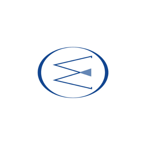 WittoSoft Logo